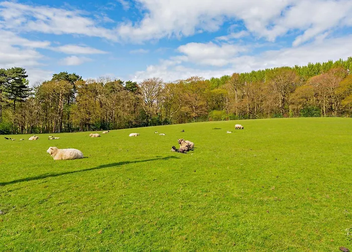 3 Bed In Stokesley Oc-g0048 *